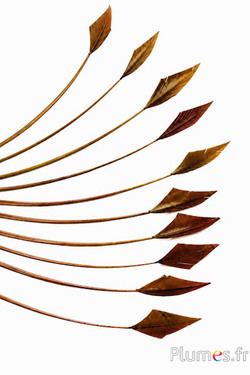 Cigno freccia - 20-30 cm - azteco dorato-kaki